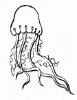 colorear medusa (8)