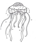 colorear medusa (17)