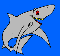colorear tiburon (2)