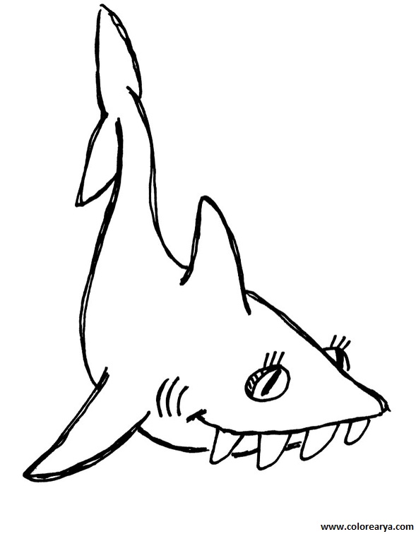 colorear tiburon (3)