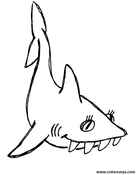 colorear tiburon (3).jpg