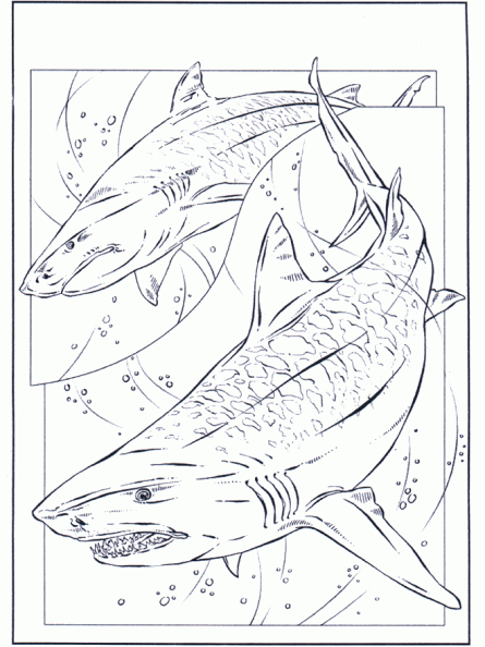 colorear tiburon (4).jpg