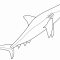 colorear tiburon (7)