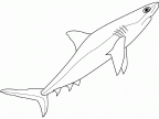 colorear tiburon (7)