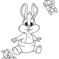 colorear baby looney toons (13)