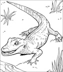 dibujos colorear cocodrilos (5)