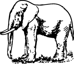dibujos para pintar elefante (4)