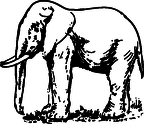dibujos para pintar elefante (4)