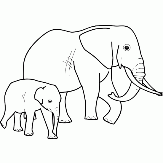 dibujos para pintar elefante (5).gif