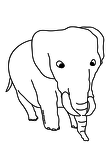 dibujos para pintar elefante (8)