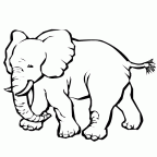 dibujos para pintar elefante (13)