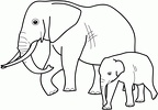 dibujos para pintar elefante (14)