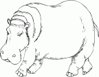 dibujos colorear hipopotamo (7)
