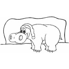 dibujos colorear hipopotamo (8)