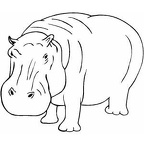 dibujos colorear hipopotamo (11)
