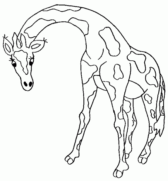 dibujos colorear jirafa (5).jpg