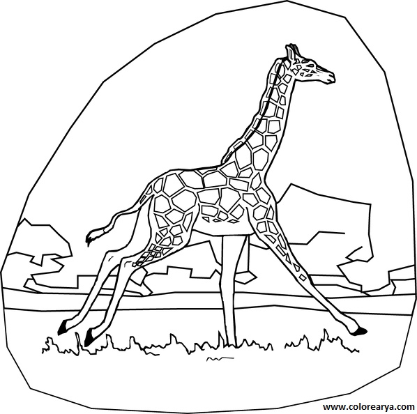 dibujos colorear jirafa (6).jpg