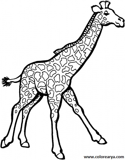 dibujos colorear jirafa (7).gif