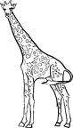 dibujos colorear jirafa (13)