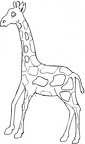 dibujos colorear jirafa (15)