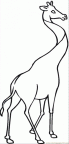 dibujos colorear jirafa (16)