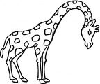 dibujos colorear jirafa (19)