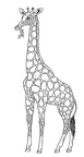 dibujos colorear jirafa (19)