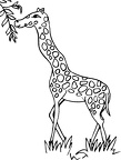 dibujos colorear jirafa (26)