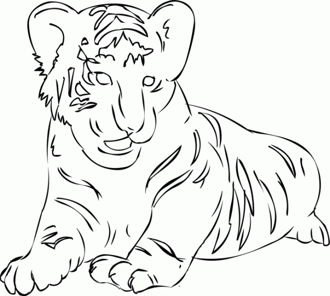 dibujos para pintar leon (7)