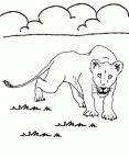 dibujos para pintar leon (14)
