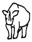 dibujos colorear rinoceronte (11)