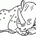 dibujos colorear rinoceronte (12)