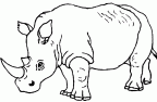 dibujos colorear rinoceronte (13)