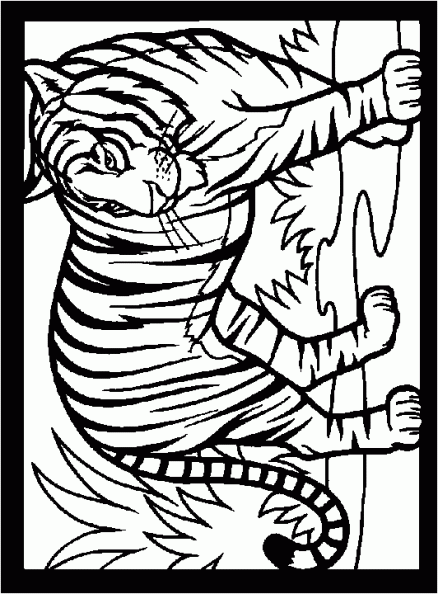 imagenes colorear  tigre (3).gif