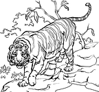 imagenes colorear  tigre (3)