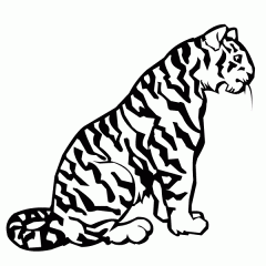 imagenes colorear  tigre (4)