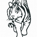 imagenes colorear  tigre (4)