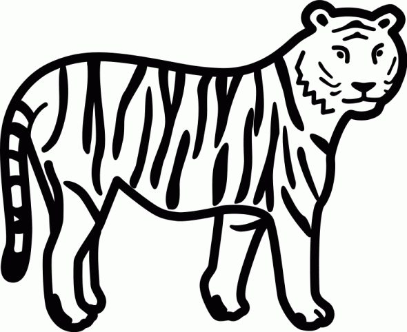 imagenes colorear  tigre (5).gif