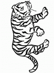 imagenes colorear  tigre (53)