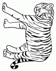imagenes colorear  tigre (55)