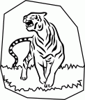 imagenes colorear  tigre (56)