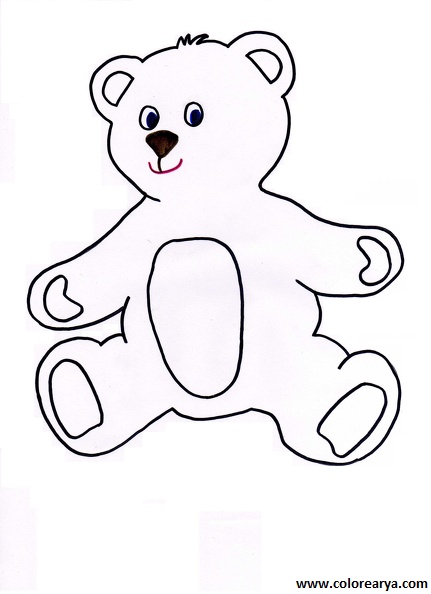 dibujos colorear oso (4)