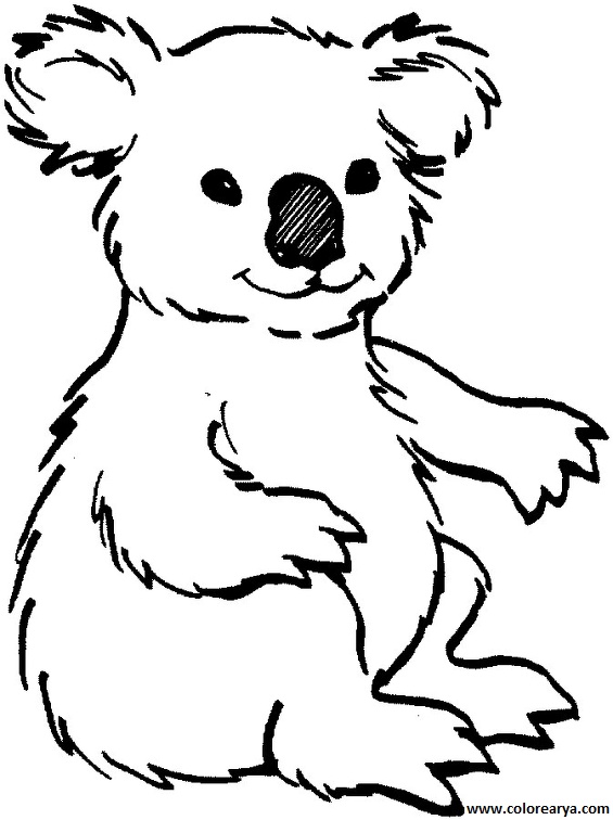 dibujos colorear oso (9)