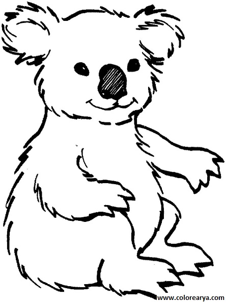 dibujos colorear oso (9).jpg