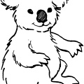 dibujos colorear oso (9)