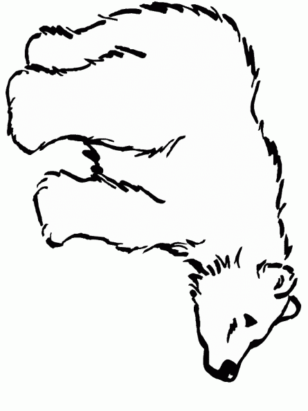 dibujos colorear oso (9).gif