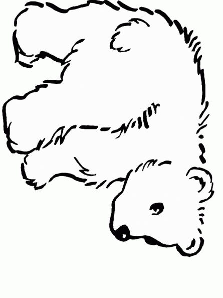 dibujos colorear oso (10).gif