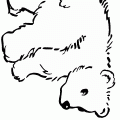 dibujos colorear oso (10)