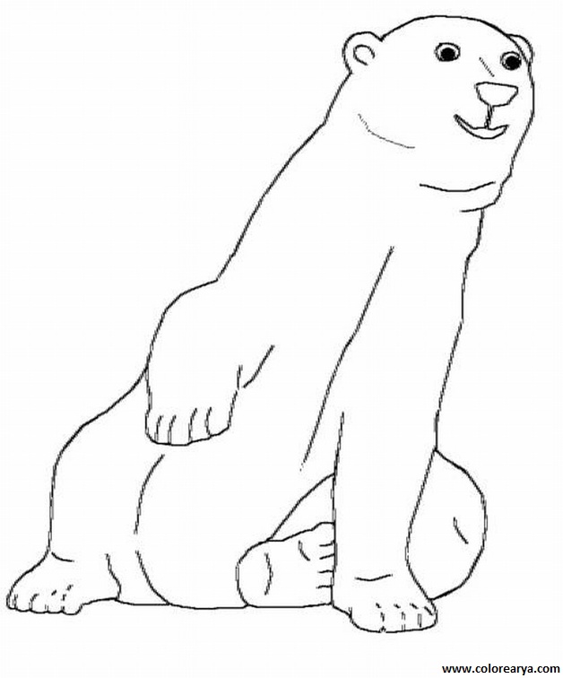 dibujos colorear oso (11)