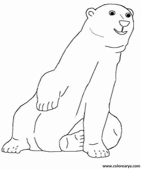 dibujos colorear oso (11).jpg